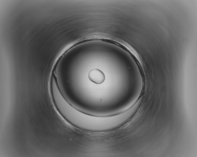 X0000111621293200907171236