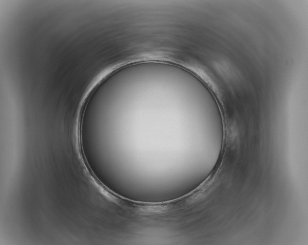 X0000111621294200907171236