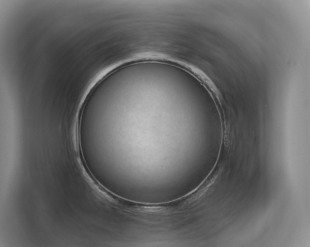 X0000111621295200907171236