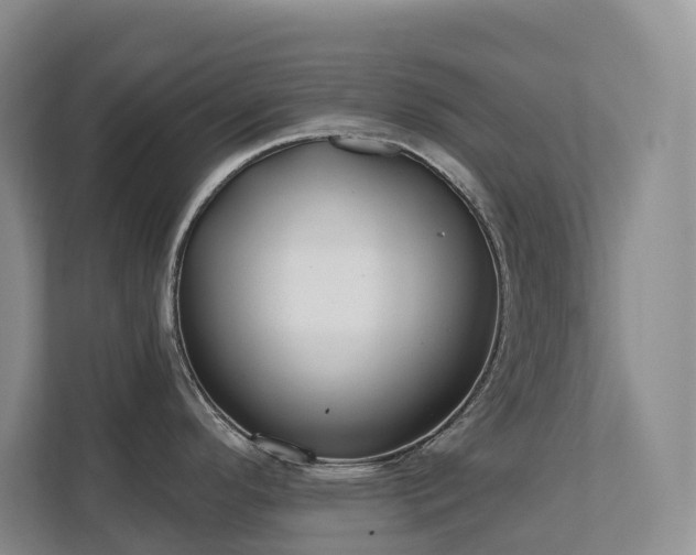 X0000111621296200907171236