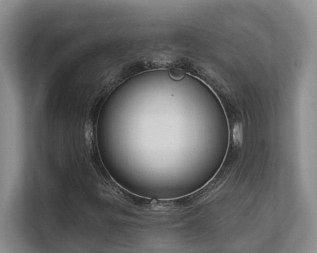 X0000111621299200907171236