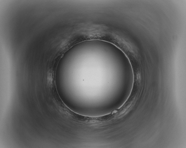 X0000111621300200907171236