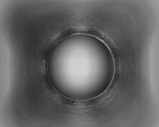 X0000111621301200907171236