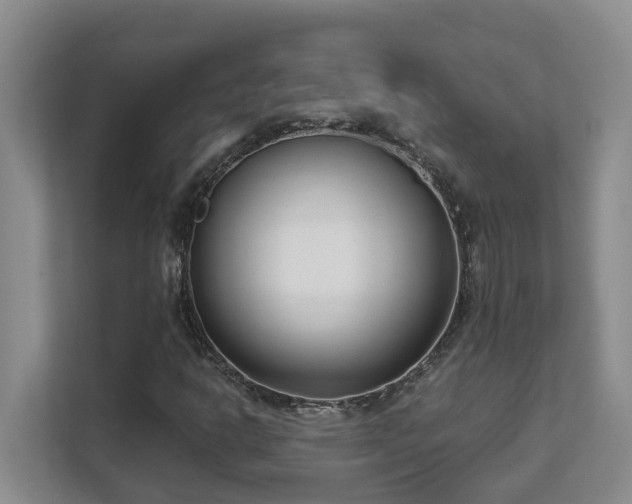 X0000111621302200907171236