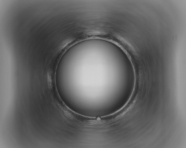 X0000111621305200907171236