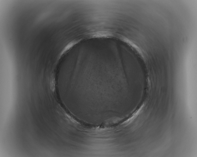 X0000111621306200907171236