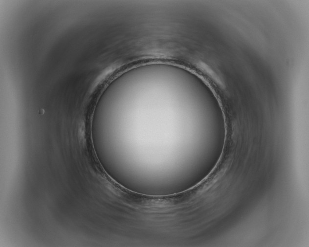 X0000111621307200907171236