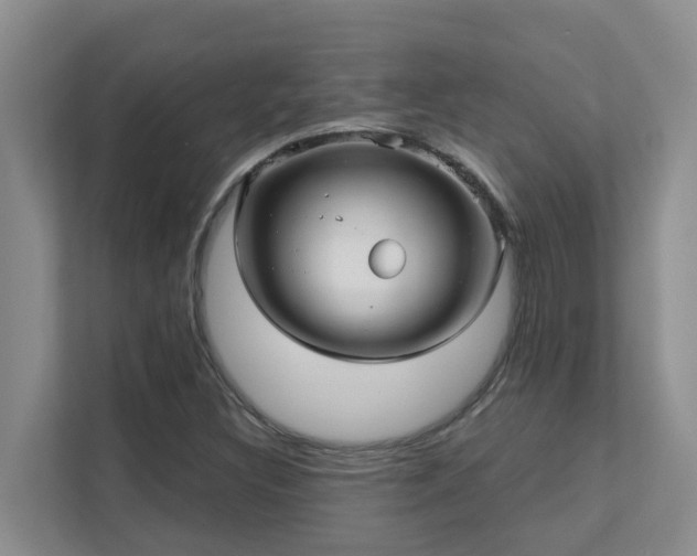 X0000111621308200907171236
