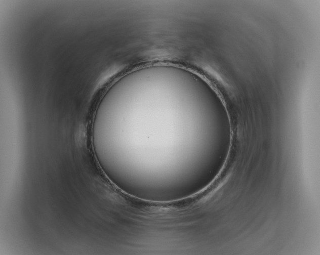 X0000111621309200907171236