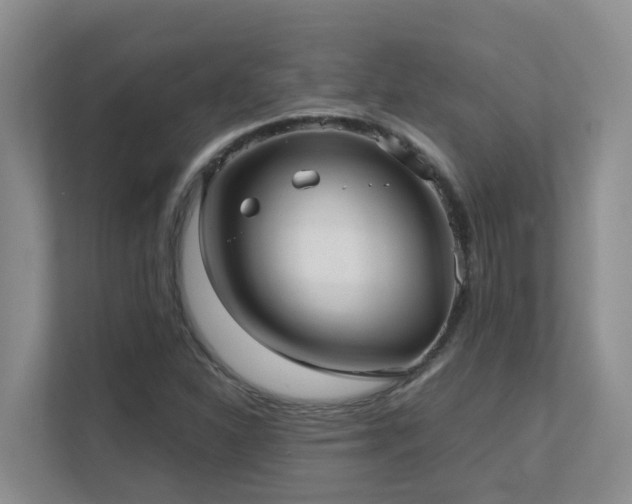 X0000111621310200907171236