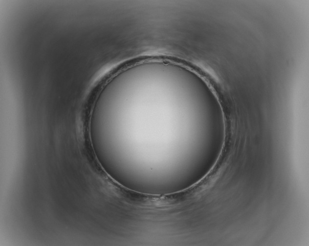 X0000111621311200907171236