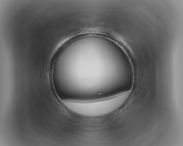 X0000111621312200907171236