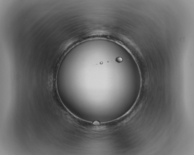 X0000111621313200907171236