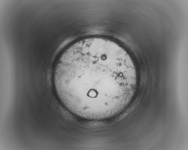 X0000111621314200907171236