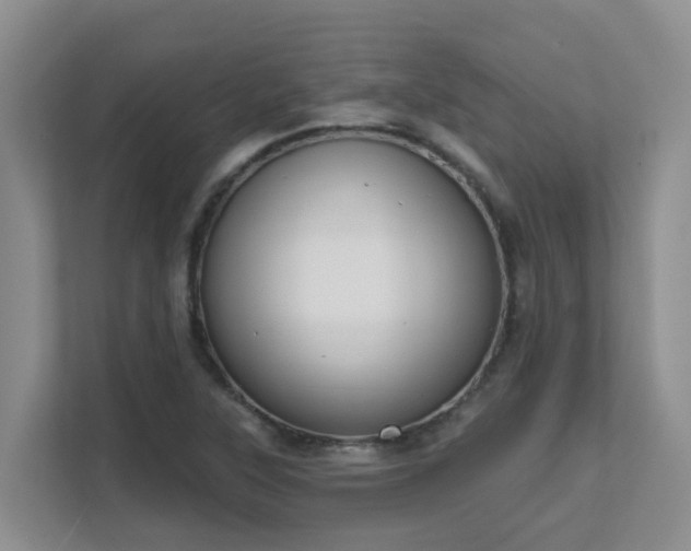 X0000111621315200907171236
