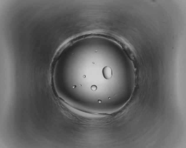 X0000111621316200907171236