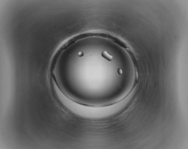X0000111621319200907171236