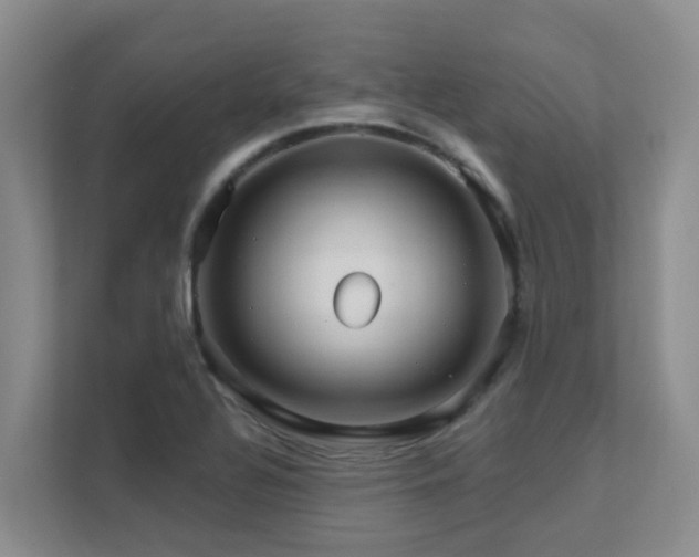 X0000111621320200907171236