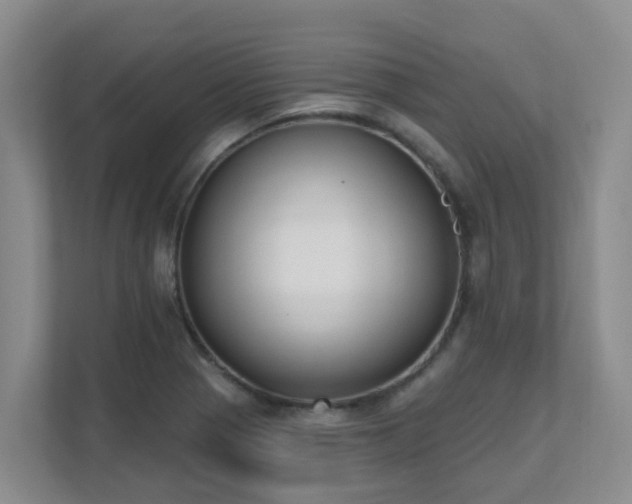 X0000111621321200907171236