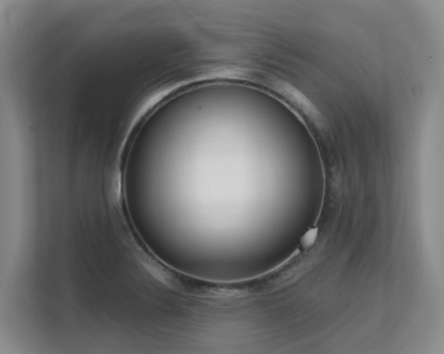 X0000111621324200907171236