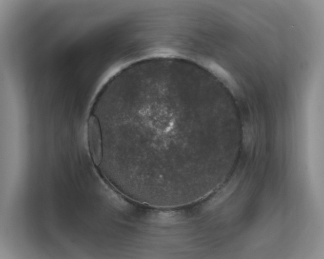 X0000111621326200907171236