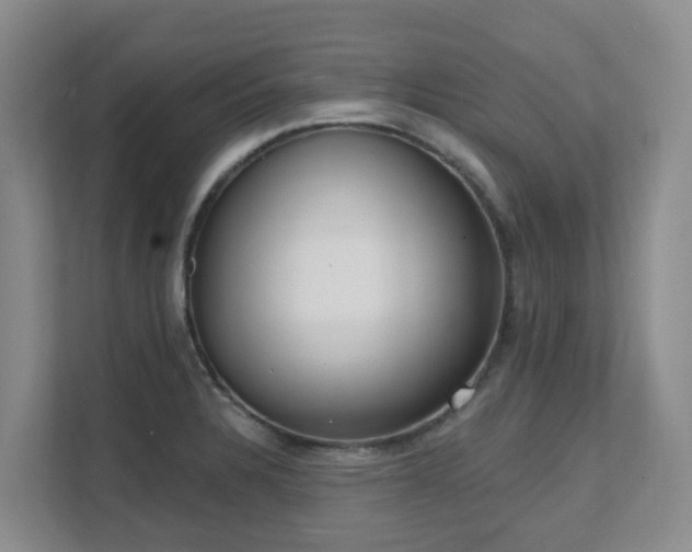 X0000111621328200907171236