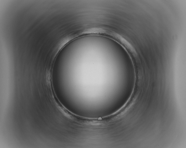 X0000111621329200907171236