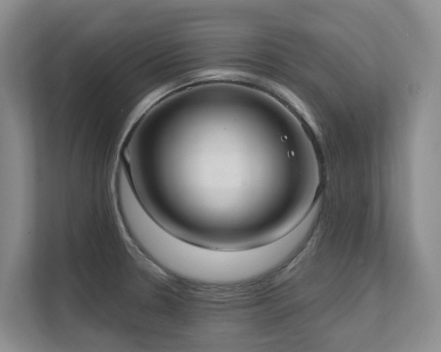 X0000111621330200907171236