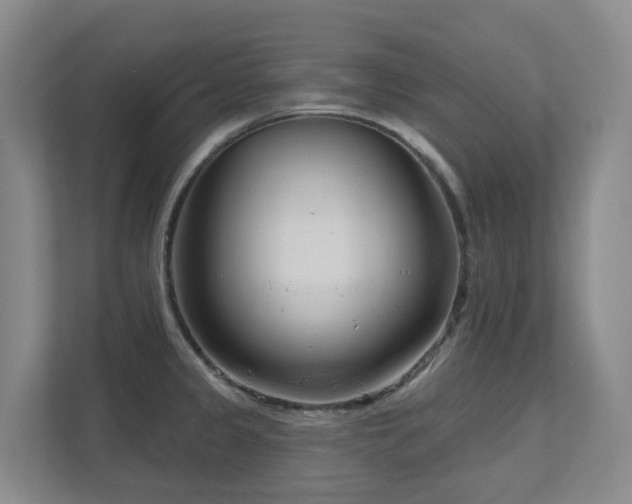 X0000111621333200907171236
