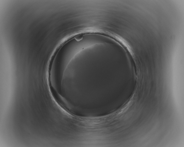 X0000111621334200907171236