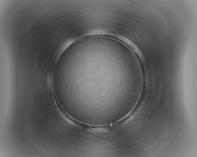 X0000111621337200907171236