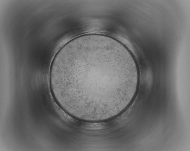 X0000111621338200907171236