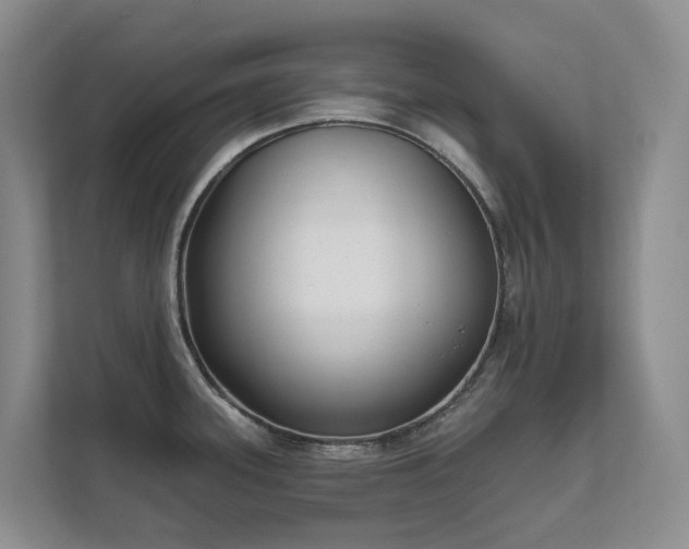 X0000111621339200907171236