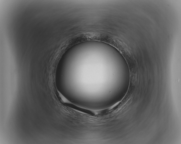 X0000111621345200907171236
