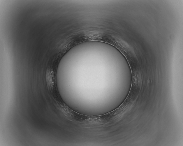 X0000111621346200907171236