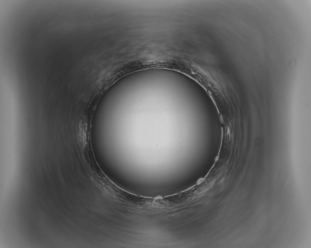 X0000111621348200907171236
