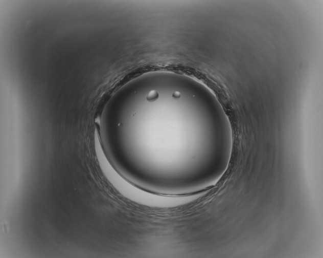 X0000111621349200907171236