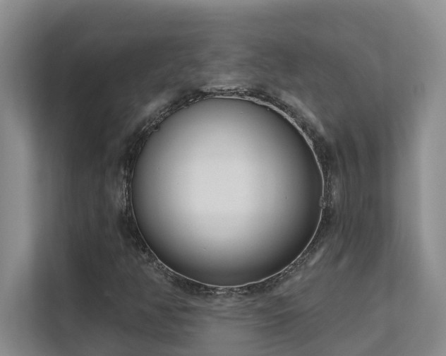 X0000111621350200907171236
