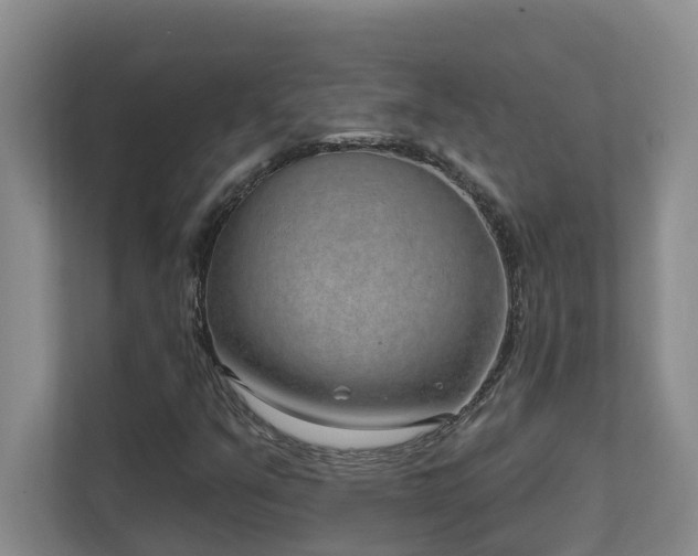 X0000111621351200907171236