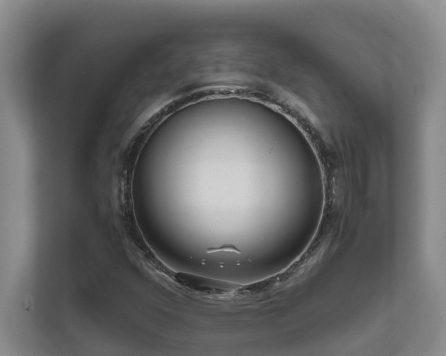 X0000111621352200907171236
