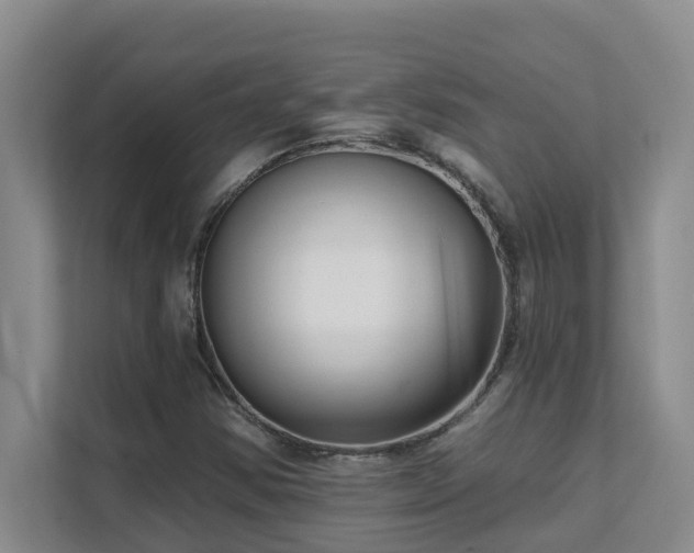 X0000111621354200907171236
