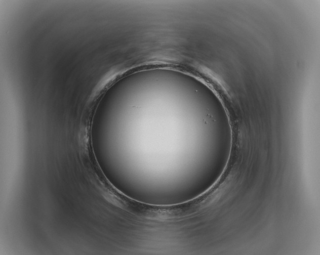 X0000111621355200907171236