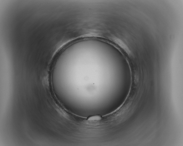 X0000111621356200907171236