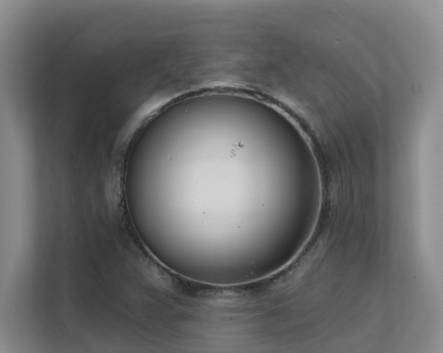X0000111621359200907171236