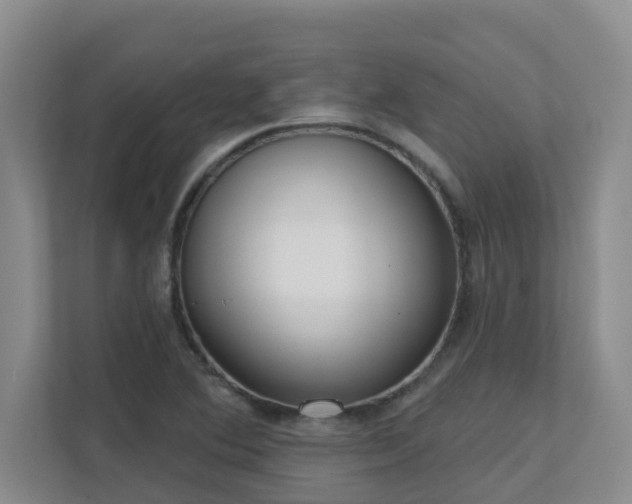 X0000111621364200907171236
