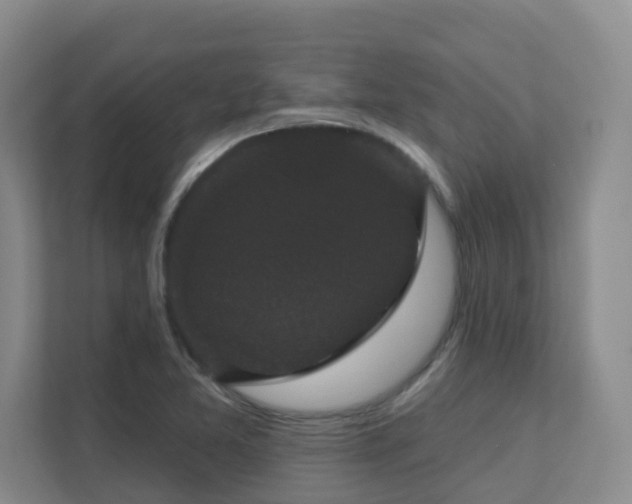 X0000111621365200907171236