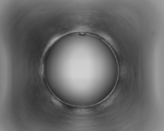 X0000111621366200907171236
