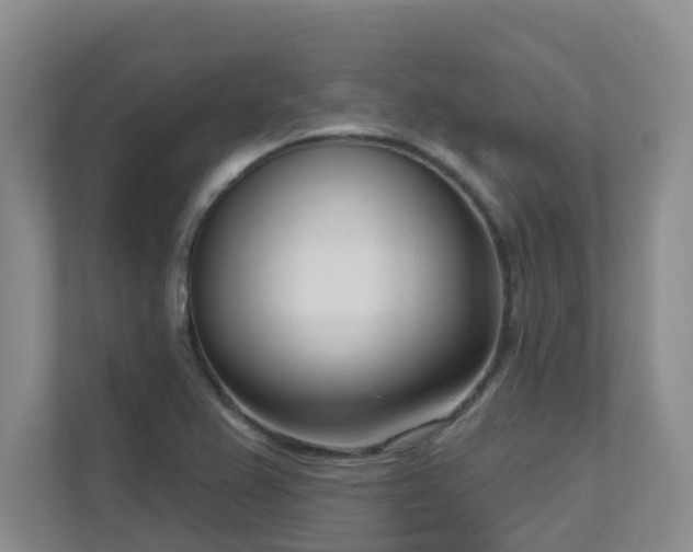 X0000111621367200907171235
