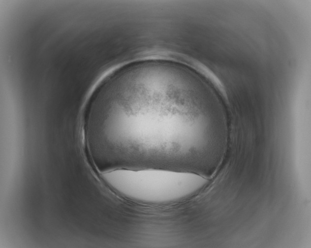X0000111621368200907171235