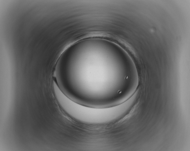 X0000111621369200907171235